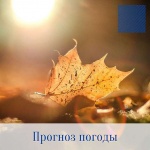 Оперативный ежедневный прогноз, возможного возникновения и развития чрезвычайных ситуаций на территории Саратовской области на 02 ноября 2021 г