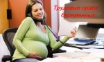 Трудовые права беременных