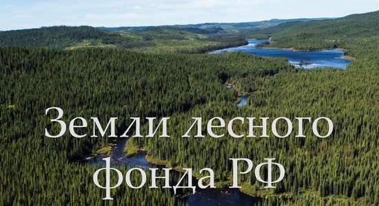 Земли лесного фонда