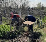 Хорошая традиция