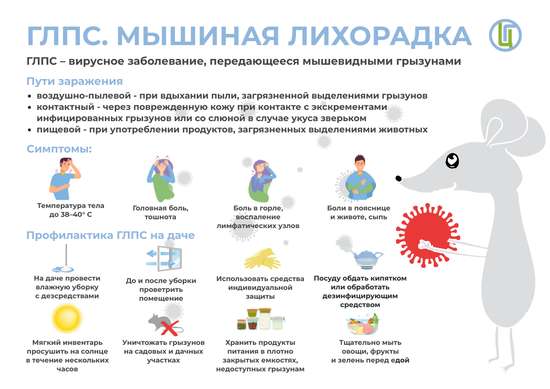 О профилактике геморрагической лихорадки с почечным синдромом!