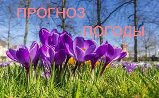 Оперативный ежедневный прогноз возможного возникновения и развития чрезвычайных ситуаций на территории Саратовской области на 02 апреля 2024.