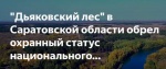 Границы «Дьяковского леса» внесены в ЕГРН