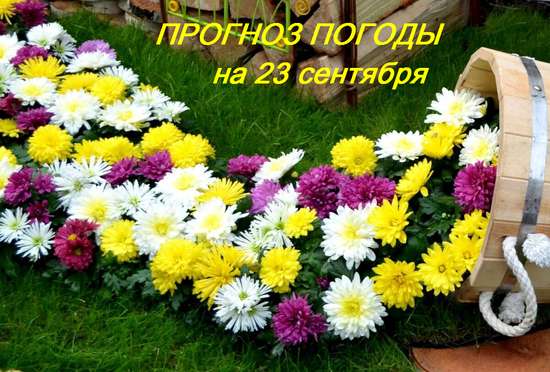 Оперативный ежедневный прогноз возможного возникновения и развития чрезвычайных ситуаций на территории Саратовской области на 24 сентября 2024.