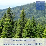 Сколько лесничеств на территории региона внесено в ЕГРН?