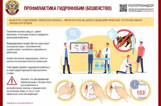 Роспотребнадзор напоминает о профилактике бешенства!