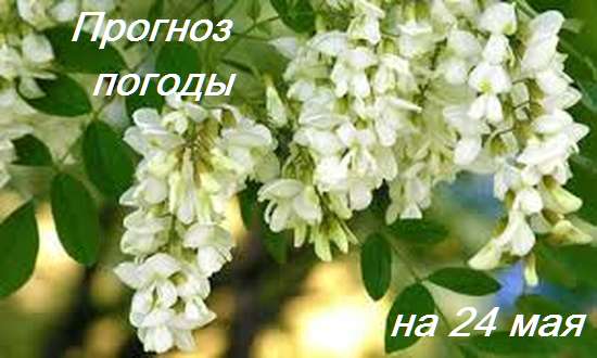 Оперативный ежедневный прогноз возможного возникновения и развития чрезвычайных ситуаций на территории Саратовской области на 24 мая 2024.