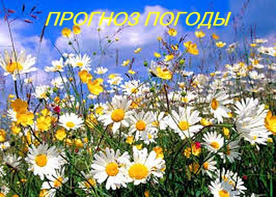 Оперативный ежедневный прогноз возможного возникновения и развития чрезвычайных ситуаций на территории Саратовской области на 29 июня 2024.