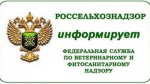Информирование