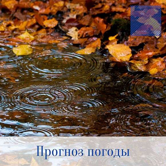 Оперативный ежедневный прогноз возможного возникновения и развития чрезвычайных ситуаций на территории Саратовской области на 18 ноября 2021 г