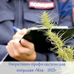 С 16 по 25 августа на территории Саратовской области проводится межведомственная комплексная оперативно-профилактическая операция «Мак - 2021»