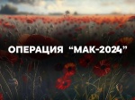 С 19 по 28 августа на территории Саратовской области проводится третий этап межведомственной комплексной оперативно-профилактической операции «Мак - 2024»