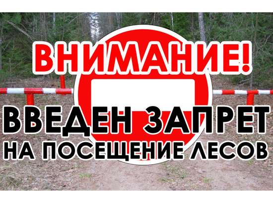Об ограничении пребывания граждан в лесах