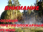 С 25 июня 2019 года на территории района установлен особый противопожарный режим