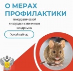 О профилактике геморрагической лихорадки с почечным синдромом!