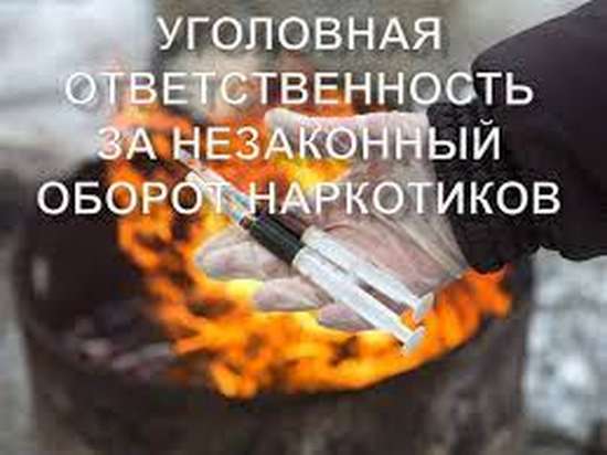 В Балашове вынесен приговор обвиняемому в совершении преступлений в сфере незаконного оборота наркотиков