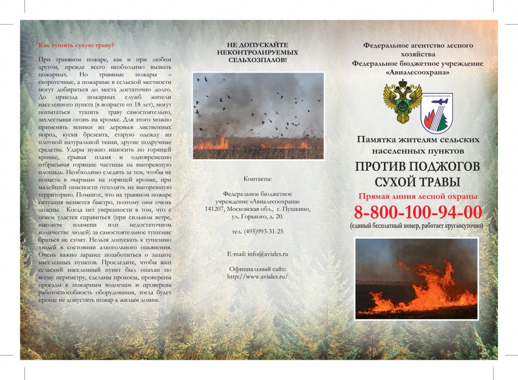Памятка Против поджогов сухой травы_page-0001.jpg Памятка Против поджогов сухой травы_page-0001.jpg