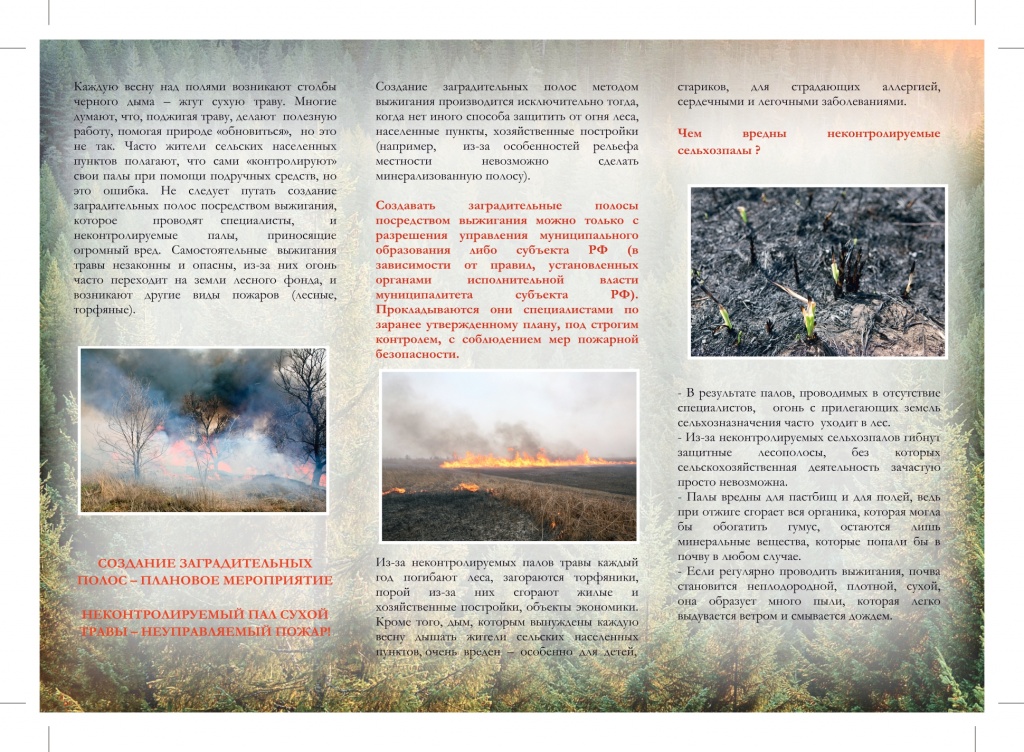 Памятка Против поджогов сухой травы_page-0002.jpg Памятка Против поджогов сухой травы_page-0002.jpg